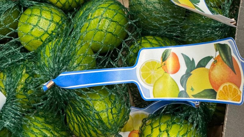 EASYFRESH (Netherlands) showcases Perishable Logistics Expertise with New Lime Packing Operation at Its Breda Facility